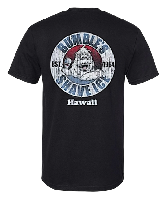 Shave Ice Classic Fit (Black)
